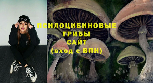 трава Арсеньев