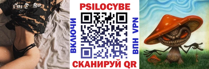 где купить наркоту  Новоульяновск  darknet формула  Галлюциногенные грибы GOLDEN TEACHER 